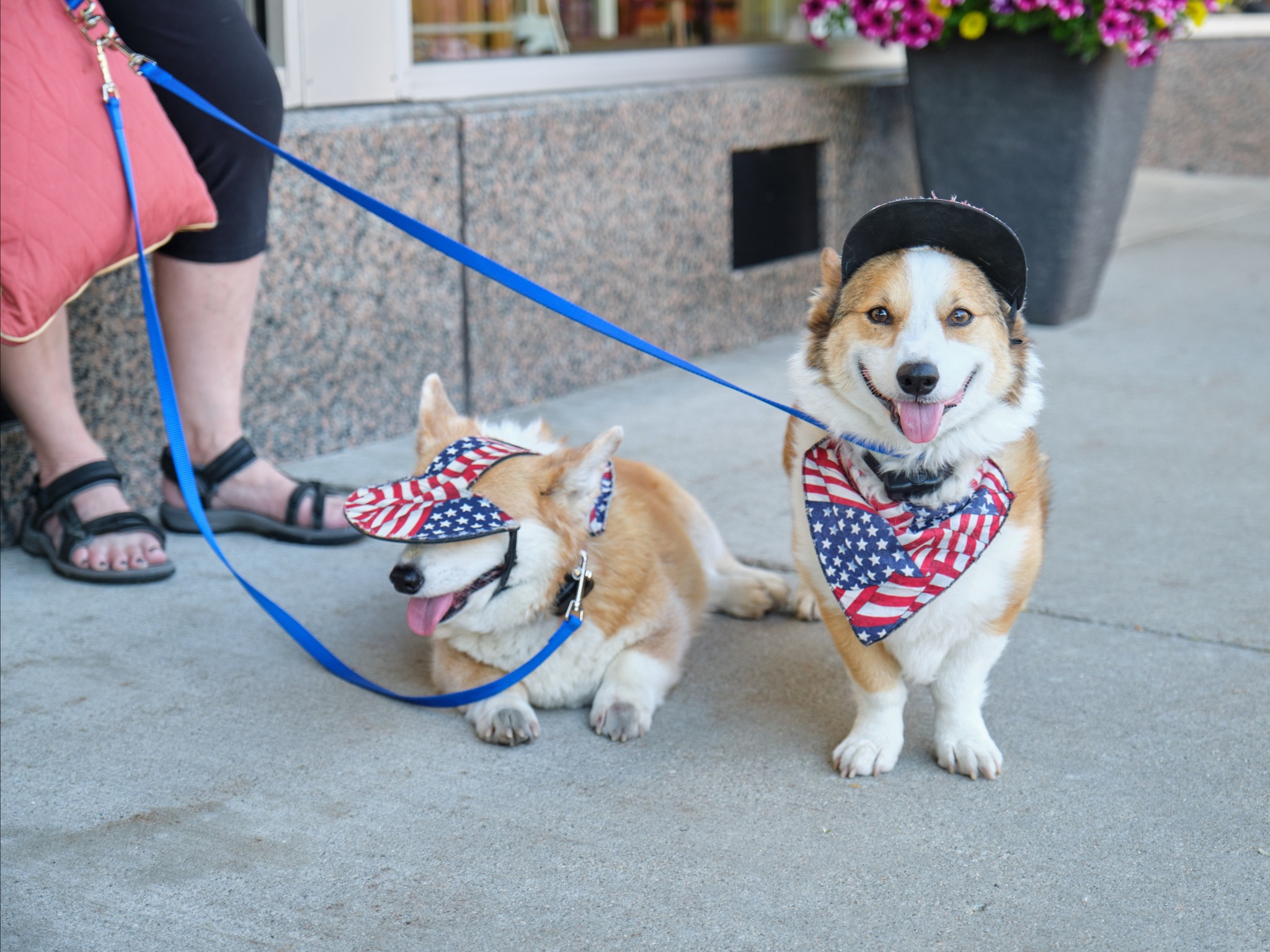 Mark Your Calendar for July Events in Goshen