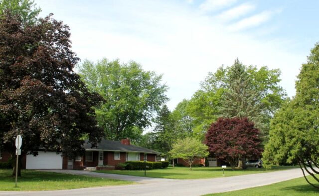 College Farm Neighborhood - summer scene