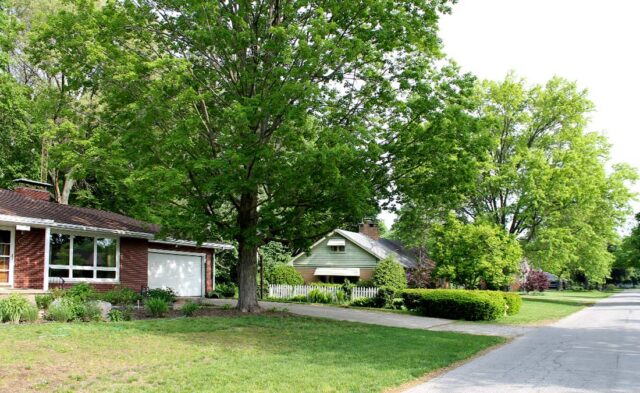 College Farm Neighborhood - summer scene