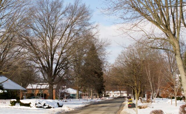 College Farm Neighborhood - winter scene