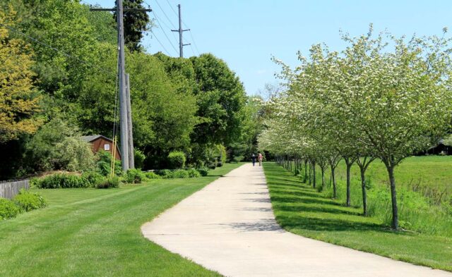 College Farm Neighborhood - trail scene