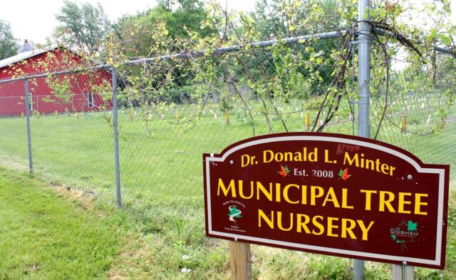 East Goshen Neighborhood - municipal tree nursery East Goshen Neighborhood - municipal tree nursery