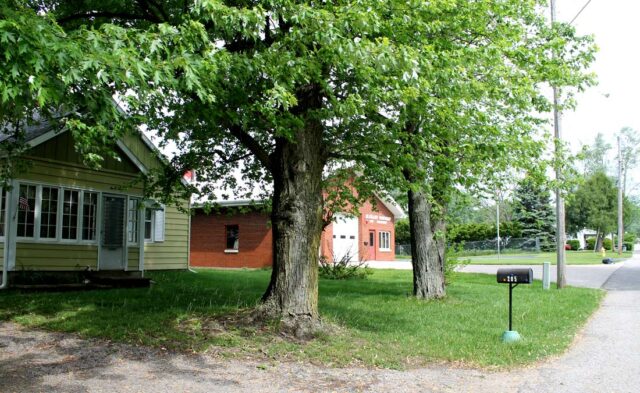 East Goshen Neighborhood - summer scene East Goshen Neighborhood - summer scene