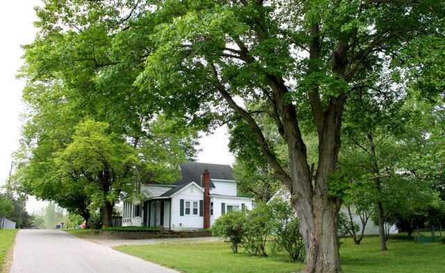 goshen-neighborhoods-east-goshen-6