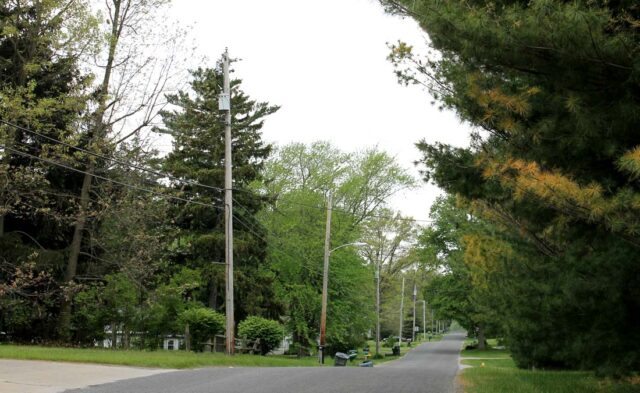 Maplecrest Neighborhood - summer scene Maplecrest Neighborhood - summer scene