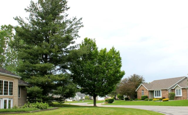 Pickwick Village Neighborhood - summer scene Pickwick Village Neighborhood - summer scene