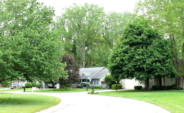 Pickwick Village Neighborhood - tree lined street Pickwick Village Neighborhood - tree lined street