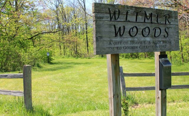 Historic Racemere Peninsula Neighborhood - Witmer Woods