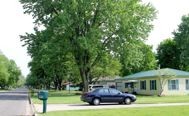 Rieth Park Neighborhood - summer scene