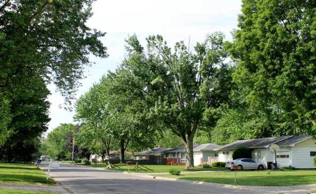 Rieth Park Neighborhood - summer scene