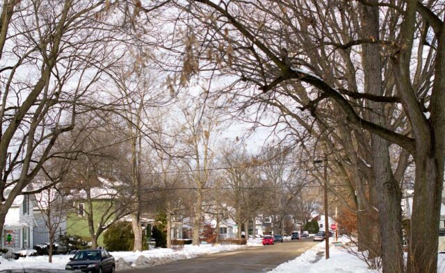 Shanklin Millrace Neighborhood - winter scene