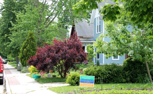 Shanklin Millrace Neighborhood - summer scene