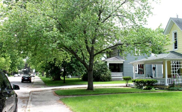 Shanklin Millrace Neighborhood - summer scene