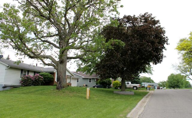 Terrace Park Neighborhood - summer scene Terrace Park Neighborhood - summer scene