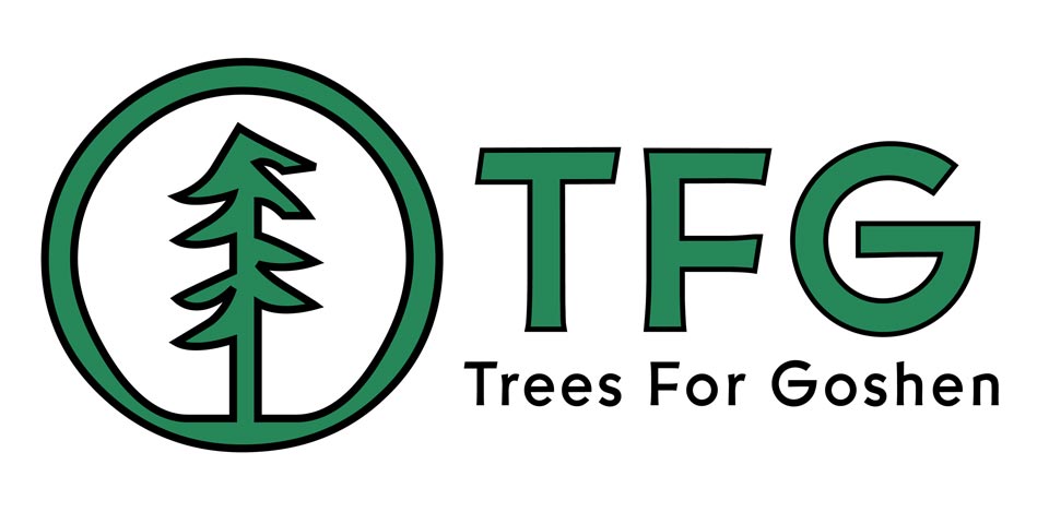 logo - Trees for Goshen - click to visit their site